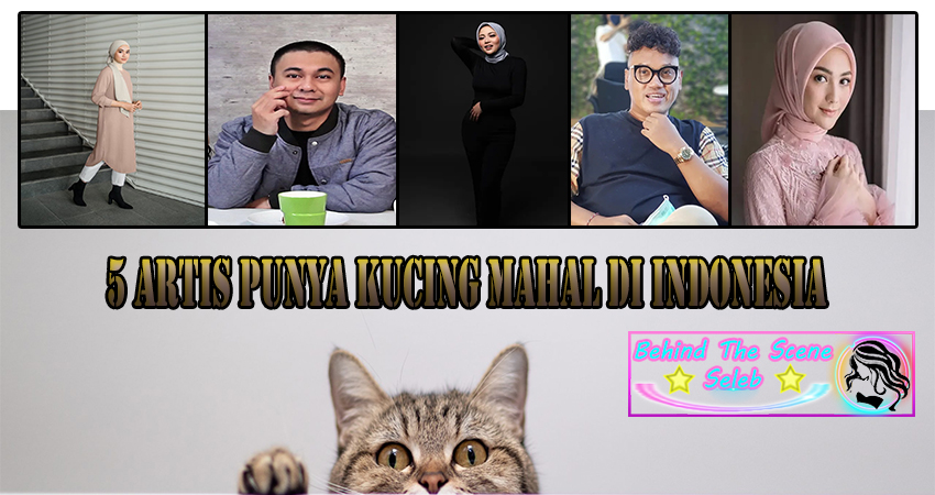 5 Artis Punya Kucing Mahal Di Indonesia